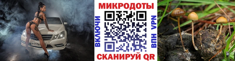 маркетплейс как зайти Борисоглебск Галлюциногенные грибы Psilocybe